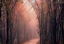 2025爱游戏体育官网网页登录网页版崔康熙：不会进行太多的轮换；今年没亚冠了，要在足协杯努力，崔康熙最新消息