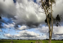 2025爱游戏体育官网网页登录网页版崔康熙：不会进行太多的轮换；今年没亚冠了，要在足协杯努力，崔康熙最新消息