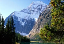 2025爱游戏体育app登录入口官网😂真是不给面啊！阿尔巴罚中点球后，原地嘲讽对方门将