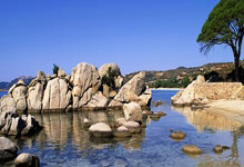 2025爱游戏体育官网网页登录网页版崔康熙：不会进行太多的轮换；今年没亚冠了，要在足协杯努力，崔康熙最新消息