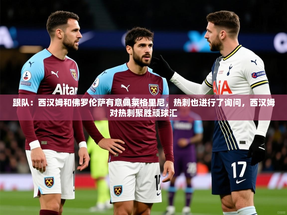 2025爱游戏体育在线官网跟队:西汉姆和佛罗伦萨有意佩莱格里尼,热刺也进行了询问,西汉姆对热刺聚胜顽球汇 第2张