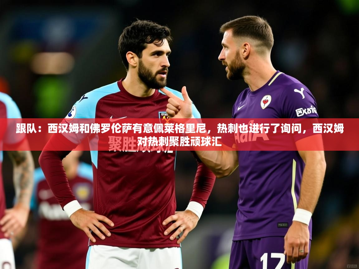 2025爱游戏体育在线官网跟队:西汉姆和佛罗伦萨有意佩莱格里尼,热刺也进行了询问,西汉姆对热刺聚胜顽球汇 第4张