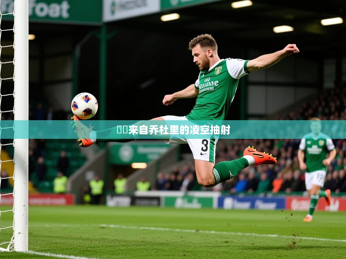 2025爱游戏体育在线平台⚽️来自乔杜里的凌空抽射 第1张
