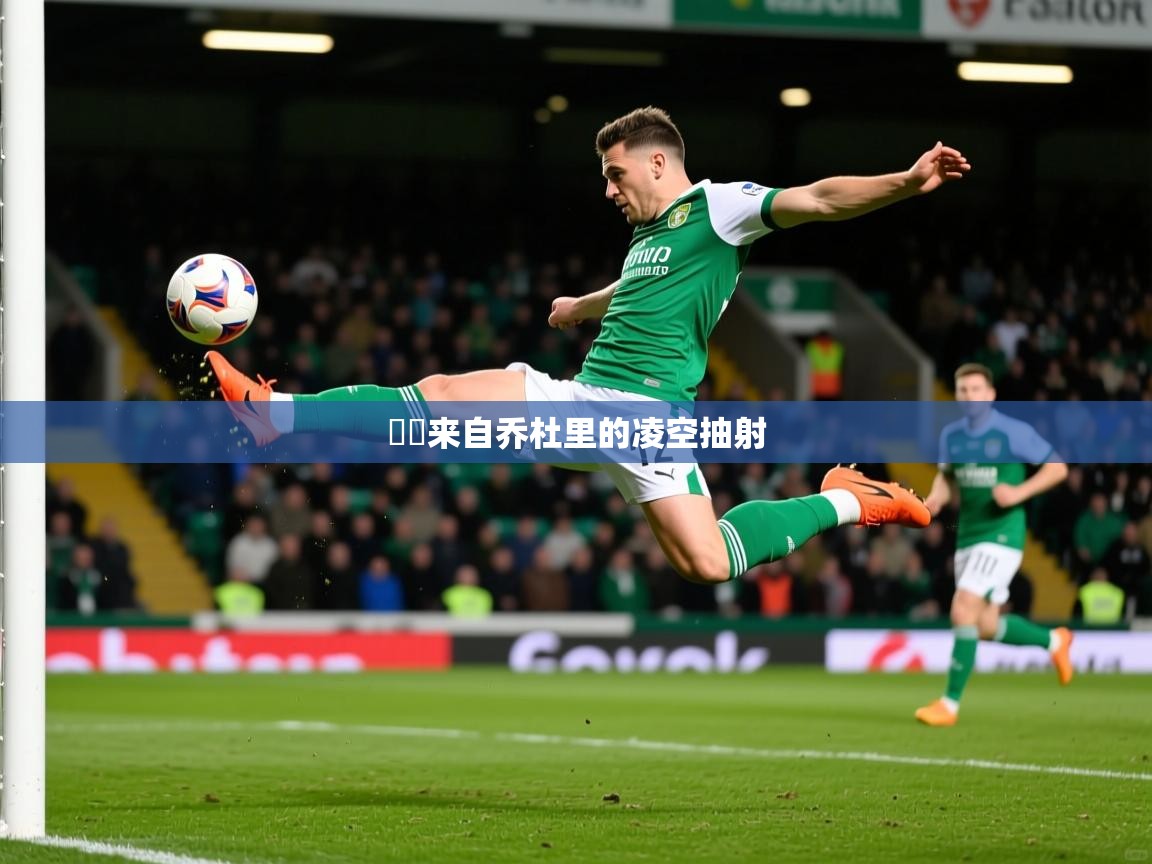 2025爱游戏体育在线平台⚽️来自乔杜里的凌空抽射 第2张