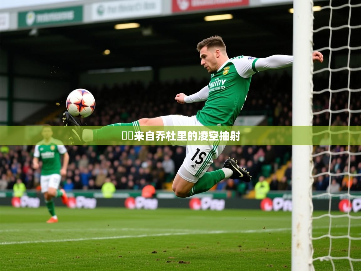 2025爱游戏体育在线平台⚽️来自乔杜里的凌空抽射 第4张