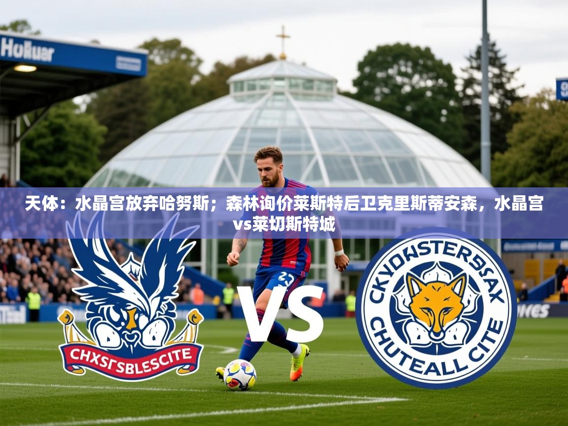 2025爱游戏体育在线入口天体：水晶宫放弃哈努斯；森林询价莱斯特后卫克里斯蒂安森，水晶宫vs莱切斯特城  第2张