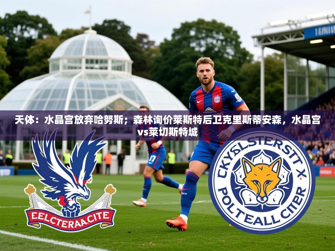 2025爱游戏体育在线入口天体：水晶宫放弃哈努斯；森林询价莱斯特后卫克里斯蒂安森，水晶宫vs莱切斯特城