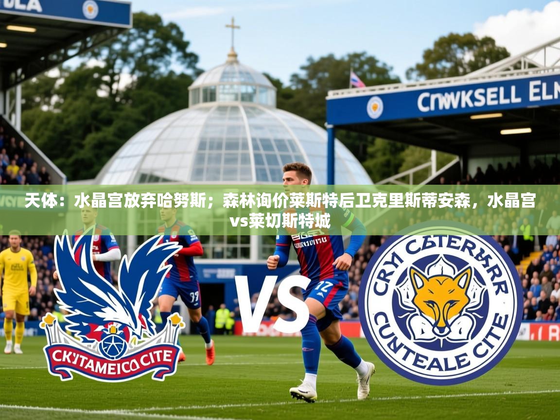 2025爱游戏体育在线入口天体：水晶宫放弃哈努斯；森林询价莱斯特后卫克里斯蒂安森，水晶宫vs莱切斯特城  第3张
