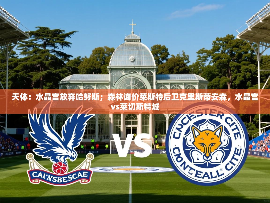 2025爱游戏体育在线入口天体：水晶宫放弃哈努斯；森林询价莱斯特后卫克里斯蒂安森，水晶宫vs莱切斯特城  第4张
