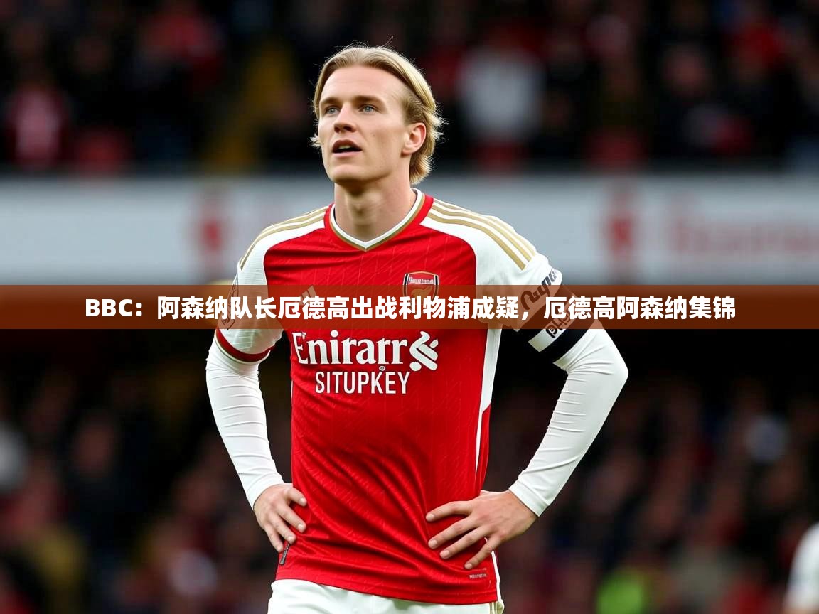 2025爱游戏体育在线appBBC:阿森纳队长厄德高出战利物浦成疑,厄德高阿森纳集锦 第3张