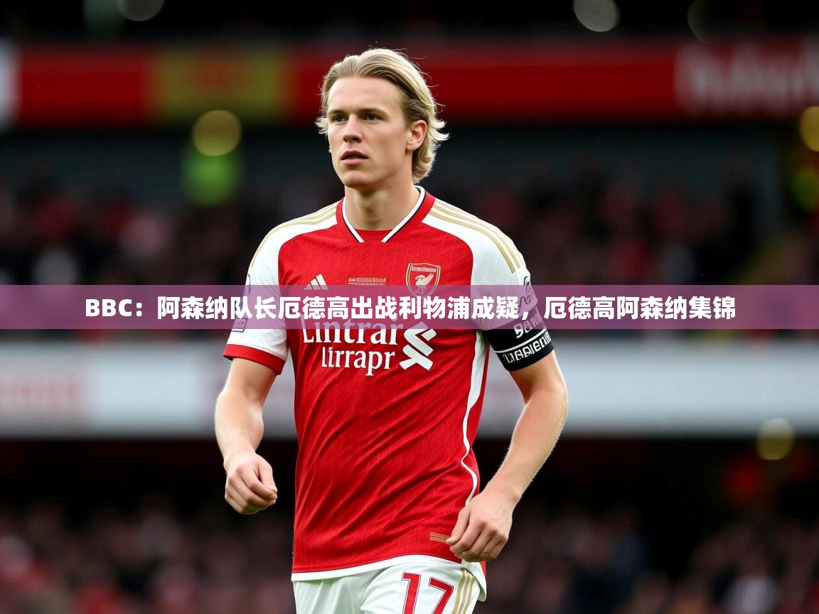 2025爱游戏体育在线appBBC:阿森纳队长厄德高出战利物浦成疑,厄德高阿森纳集锦 第4张