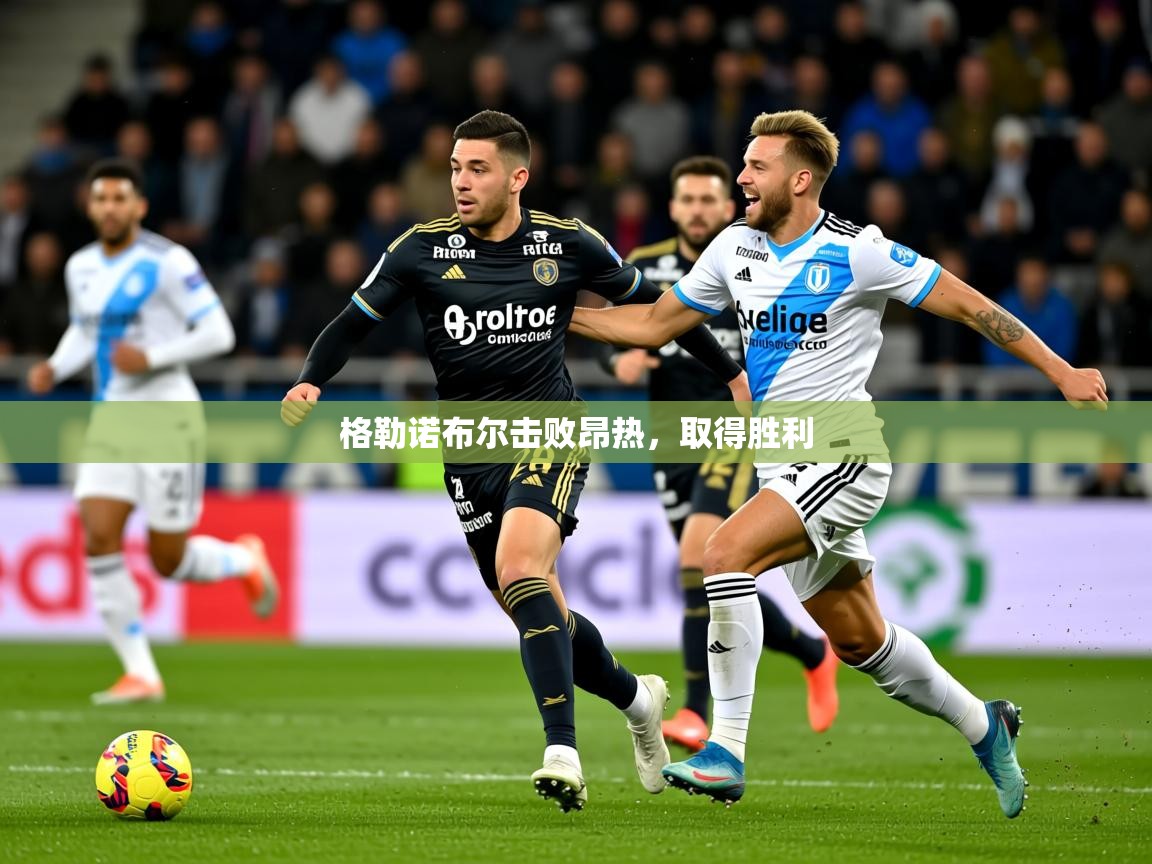 2025爱游戏体育在线平台格勒诺布尔击败昂热，取得胜利  第4张