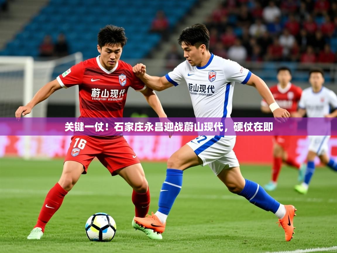 2025爱游戏体育app入口关键一仗!石家庄永昌迎战蔚山现代,硬仗在即 第2张