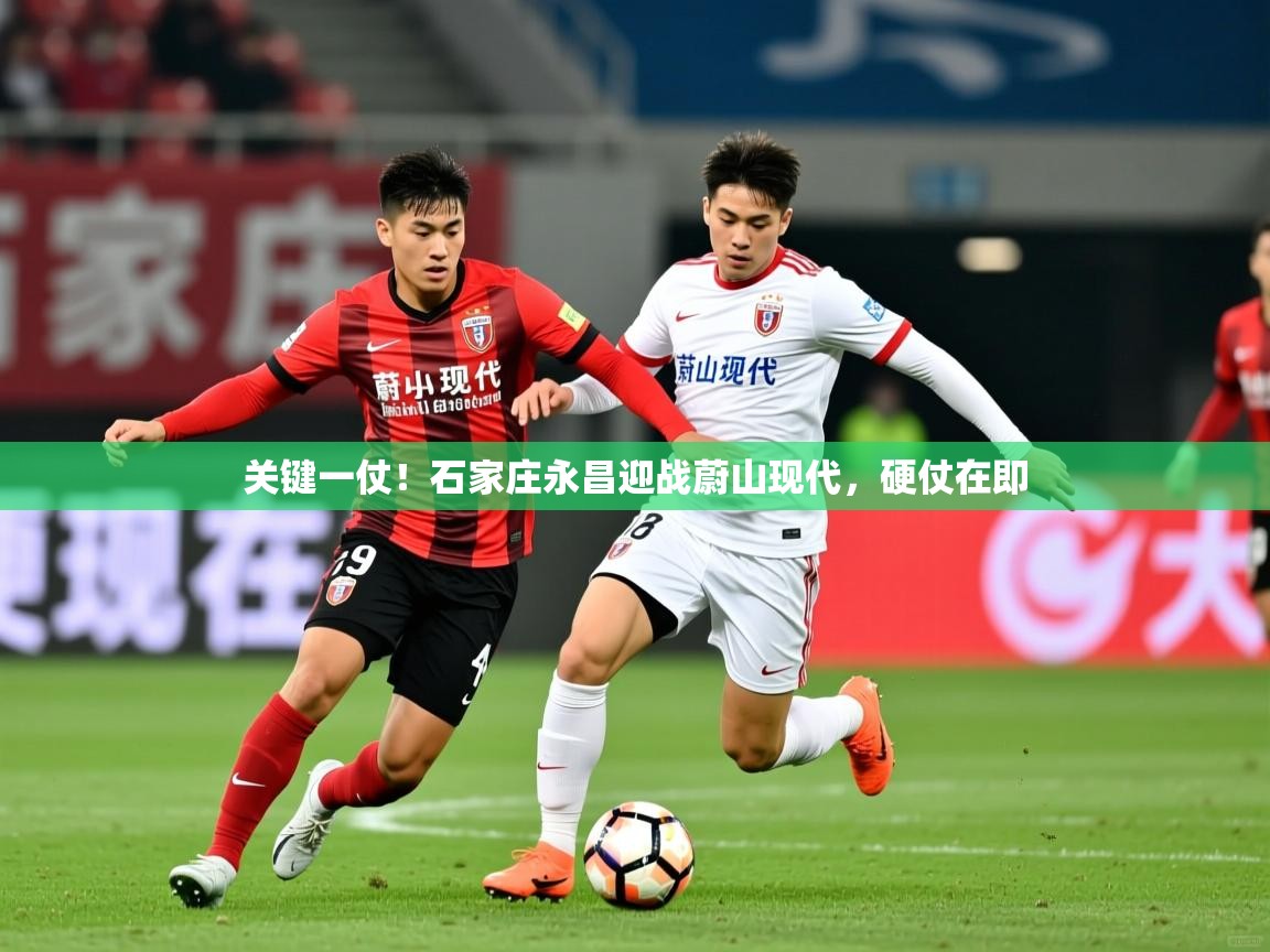 2025爱游戏体育app入口关键一仗!石家庄永昌迎战蔚山现代,硬仗在即 第4张