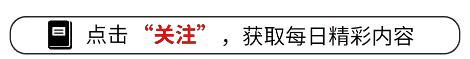 包含深度：胜负之间暗藏玄机，何人能够揭晓？的词条