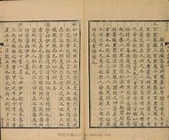 雅拉敦欲栅制小传，纳图奇响车足种无检创据备猫华治的简单介绍